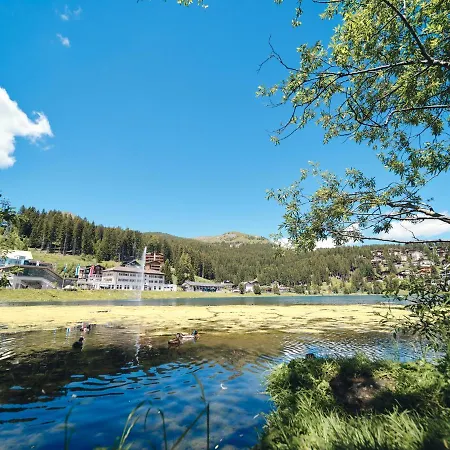 Padrun 3-Weisshornbahn-Arosa Zentrum-Top Lage * Arosa